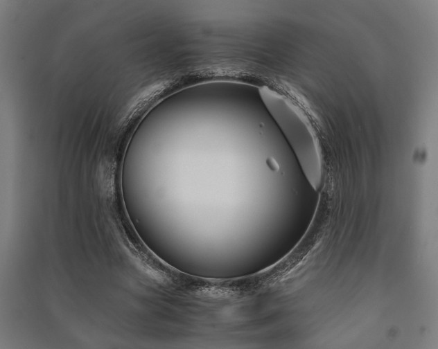X0000091480537200708161420