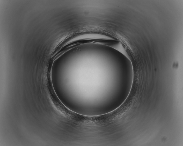 X0000091480538200708161420