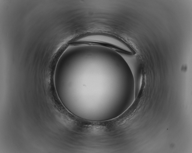 X0000091480539200708161420
