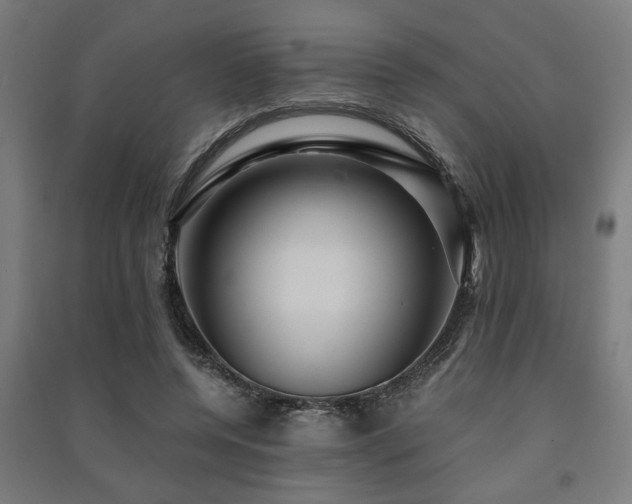 X0000091480544200708161420