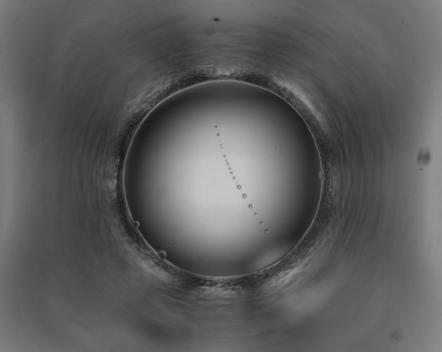 X0000091480545200708161420