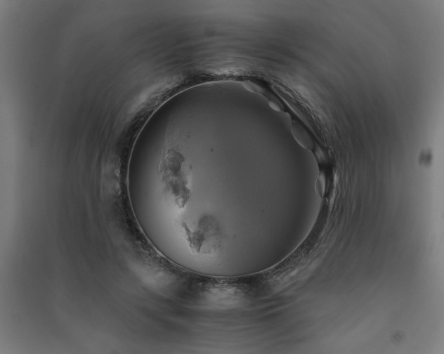 X0000091480547200708161420