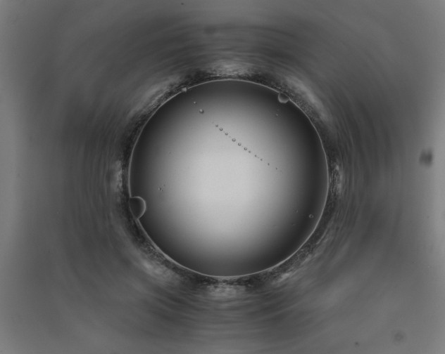 X0000091480549200708161420