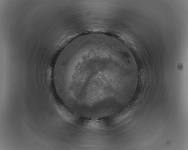 X0000091480550200708161420