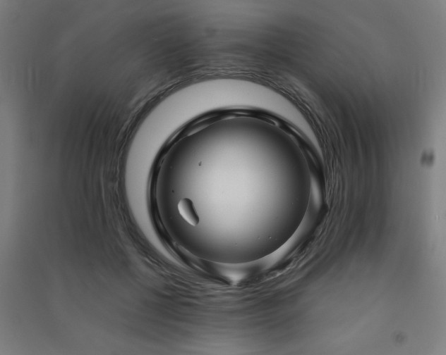 X0000091480552200708161420