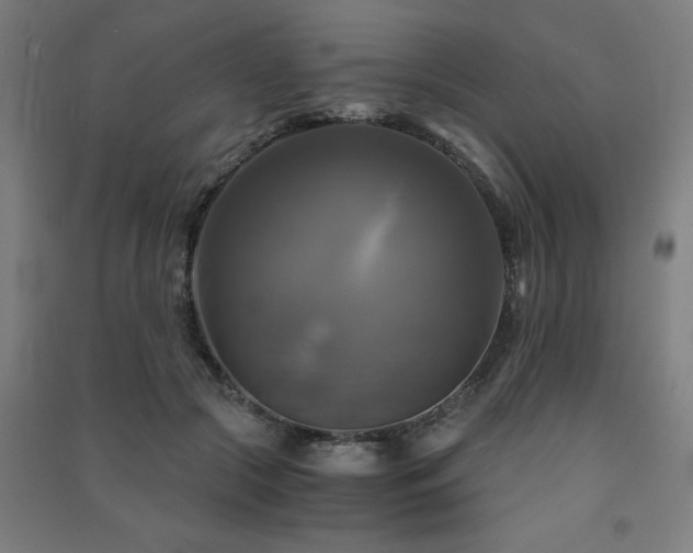 X0000091480553200708161420