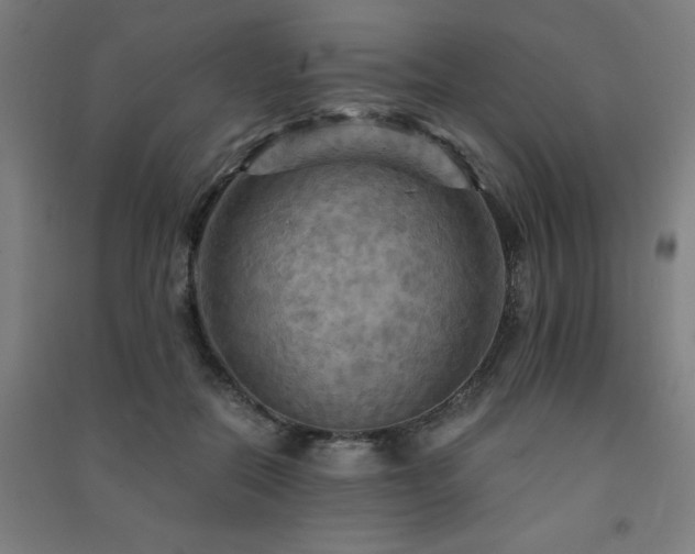X0000091480554200708161420