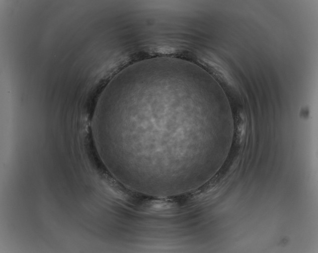 X0000091480555200708161420