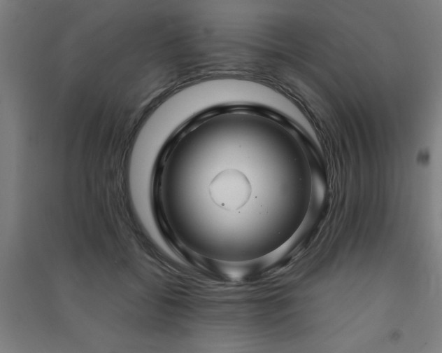 X0000091480556200708161420