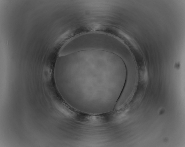 X0000091480558200708161420
