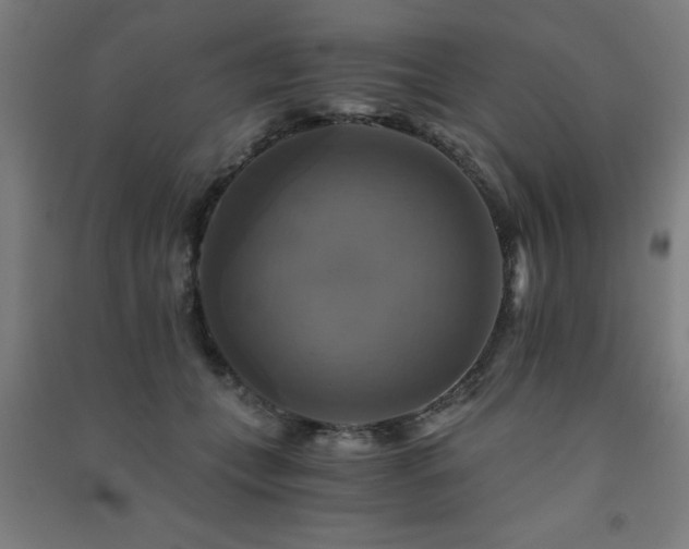 X0000091480559200708161420
