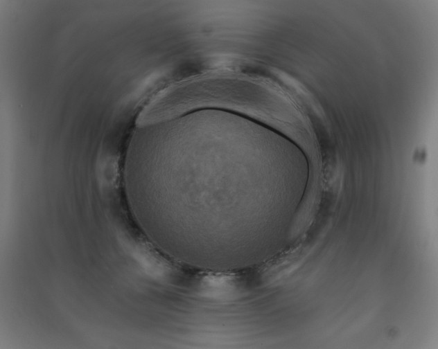 X0000091480560200708161420