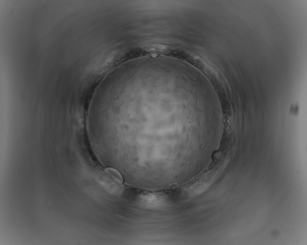 X0000091480561200708161420