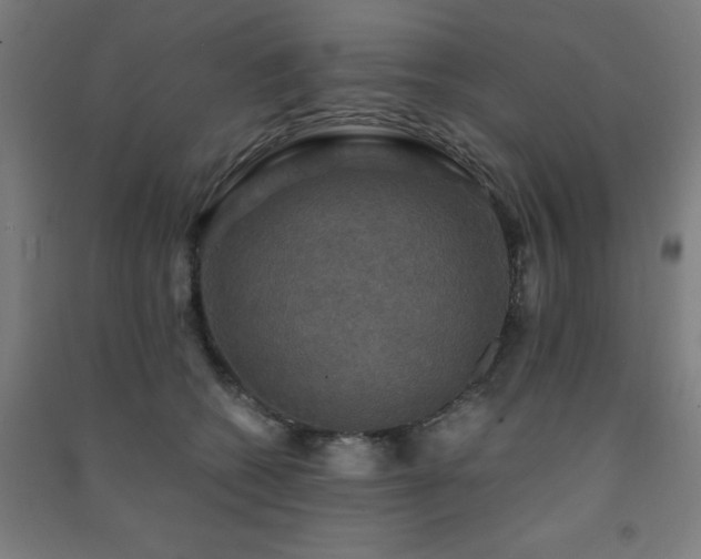 X0000091480562200708161421