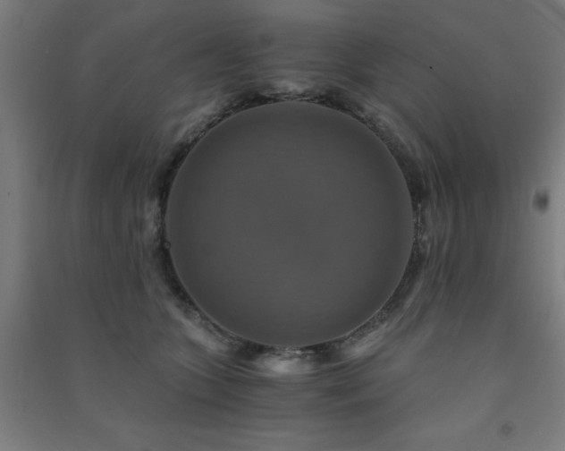 X0000091480563200708161421