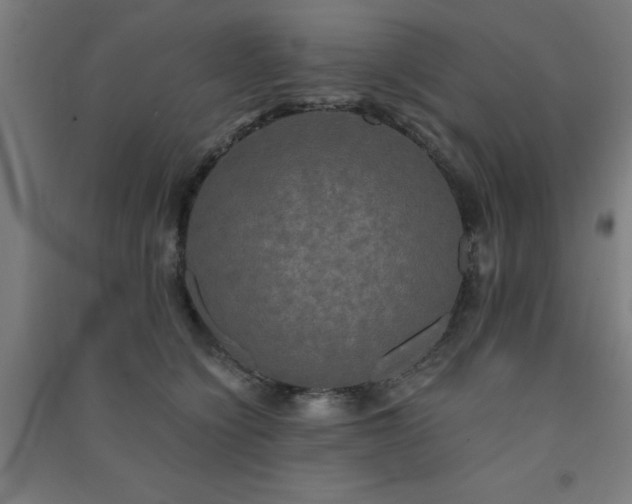 X0000091480564200708161421