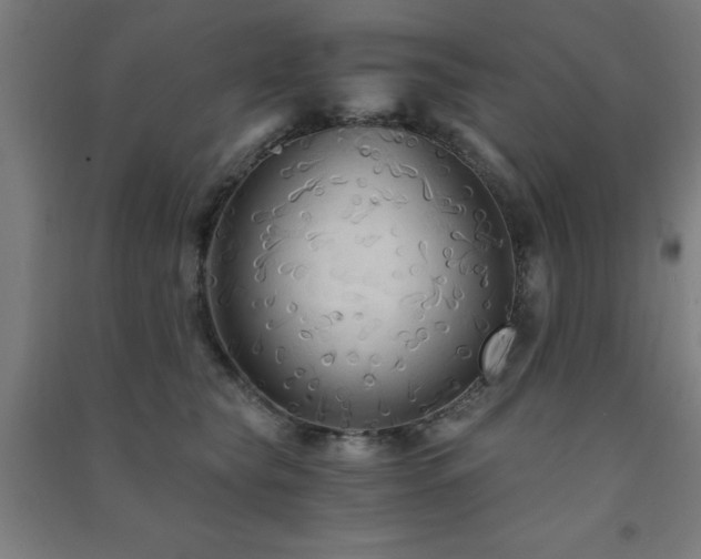 X0000091480565200708161421