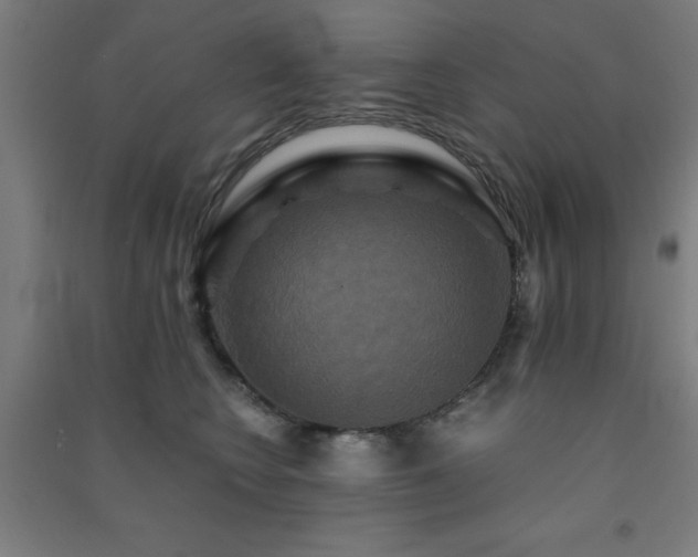 X0000091480566200708161421