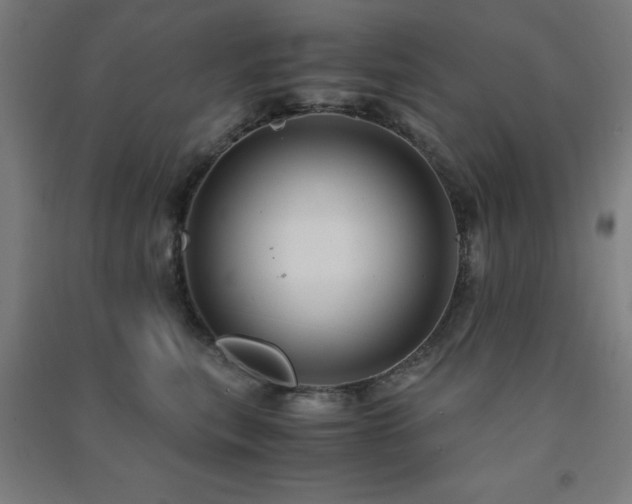 X0000091480567200708161421