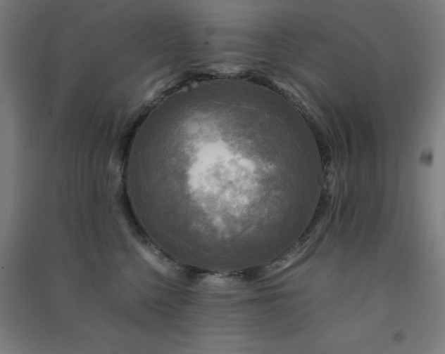 X0000091480568200708161421