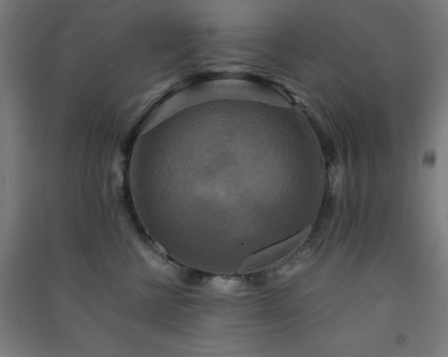 X0000091480570200708161421