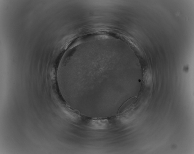 X0000091480571200708161421