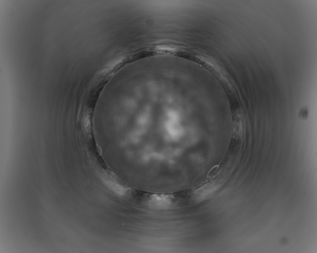 X0000091480573200708161421