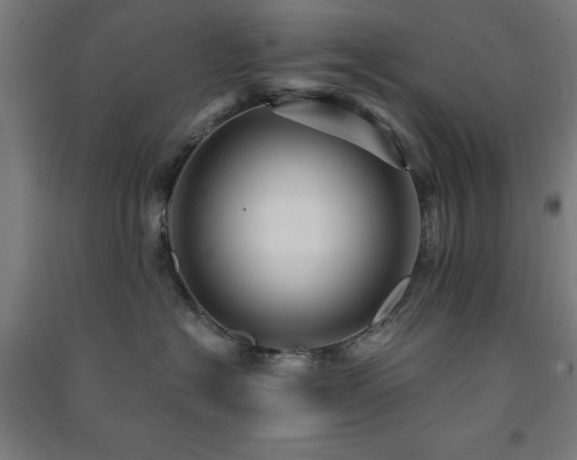 X0000091480574200708161421