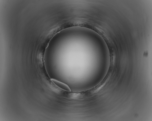 X0000091480575200708161421