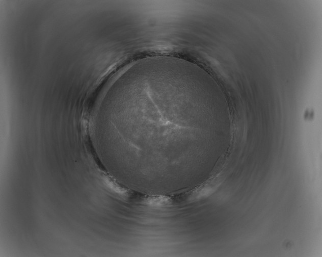 X0000091480576200708161421