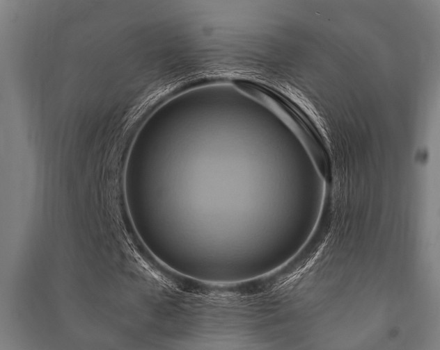 X0000091480577200708161420