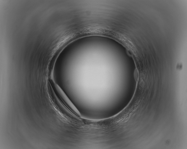X0000091480578200708161420