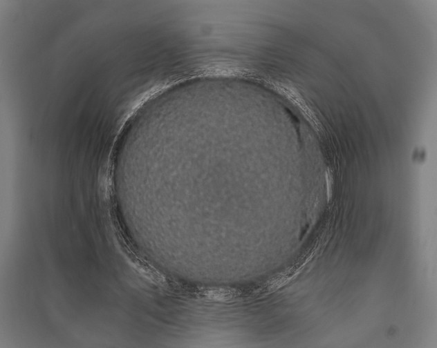 X0000091480579200708161420