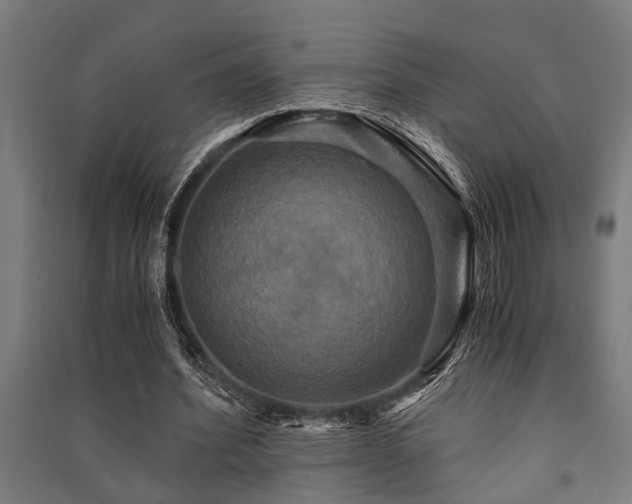 X0000091480580200708161420