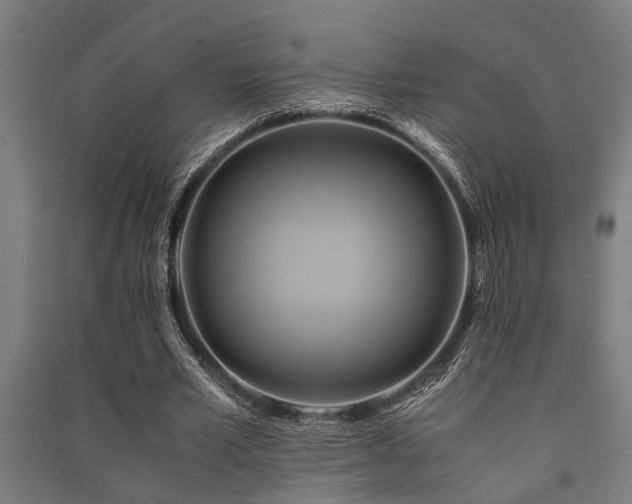 X0000091480581200708161420