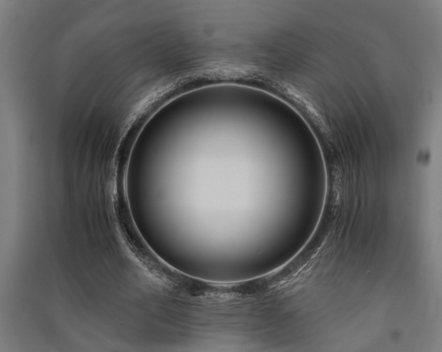 X0000091480582200708161420