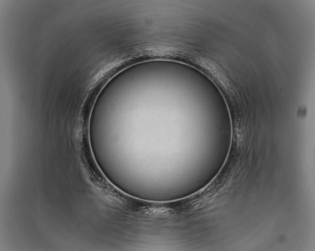 X0000091480583200708161420