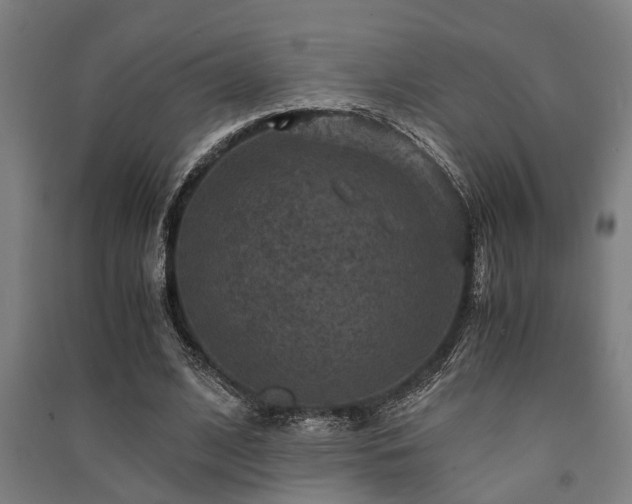 X0000091480584200708161420