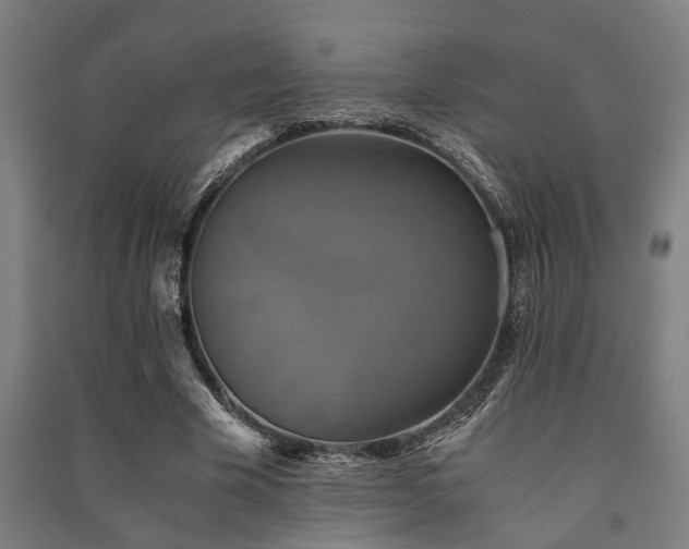 X0000091480585200708161420