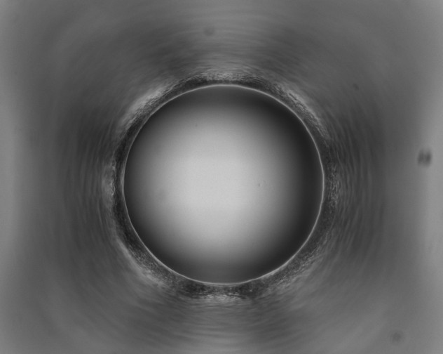 X0000091480586200708161420