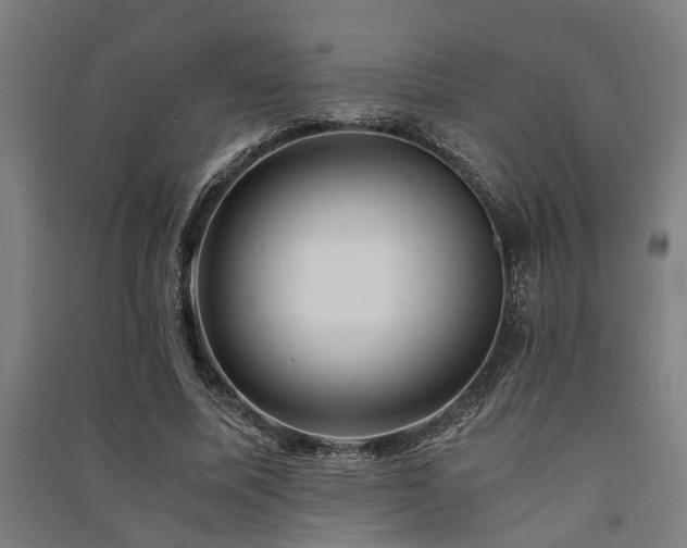 X0000091480587200708161420