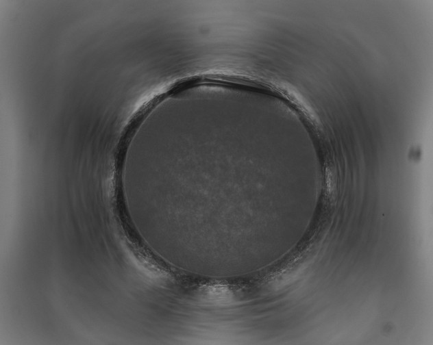 X0000091480588200708161420