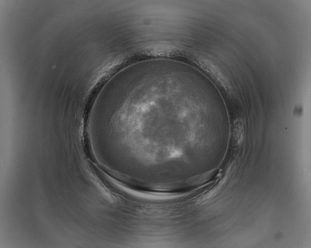 X0000091480589200708161420
