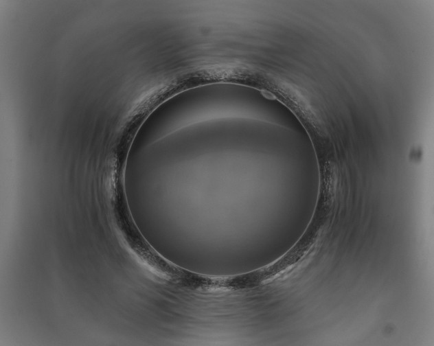 X0000091480590200708161420