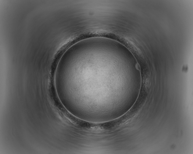 X0000091480591200708161420