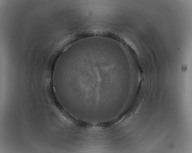 X0000091480593200708161420