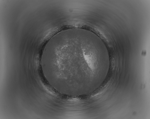 X0000091480594200708161420