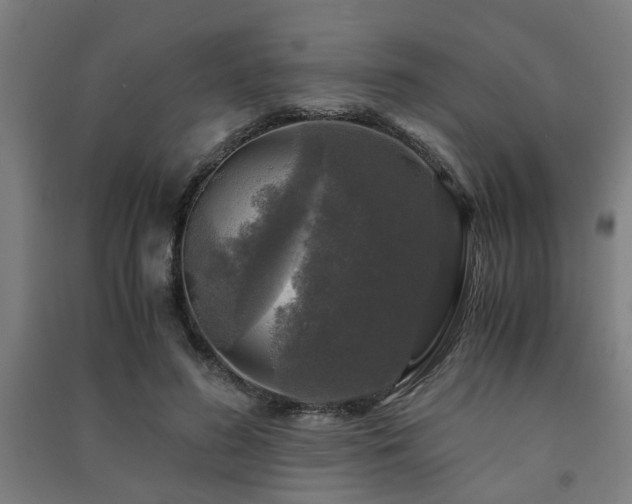 X0000091480596200708161420