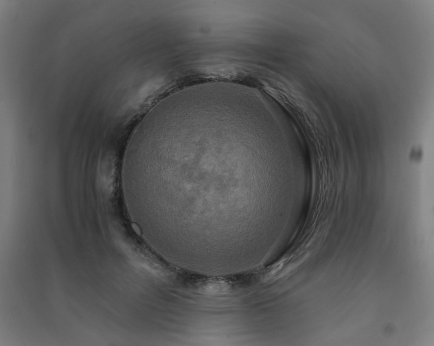 X0000091480600200708161420