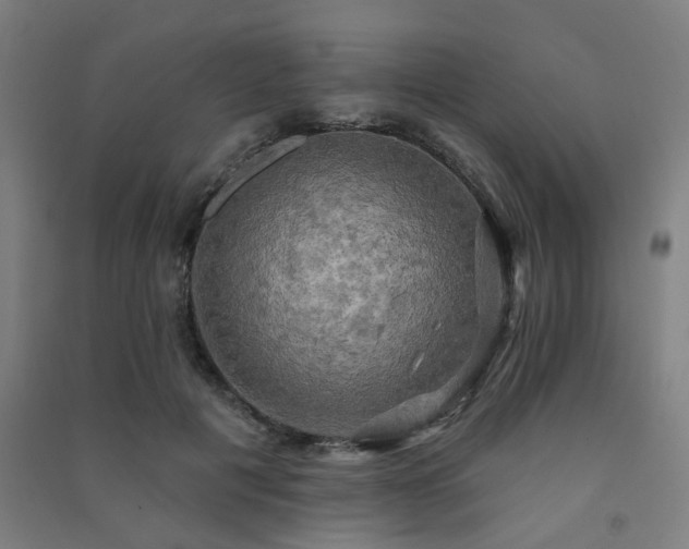 X0000091480601200708161420